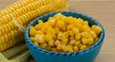 Zdravotní přínosy a poškození kukuřice, léčivé vlastnosti a kontraindikace